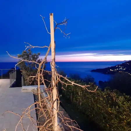 Il Mare Tra Gli Olivi