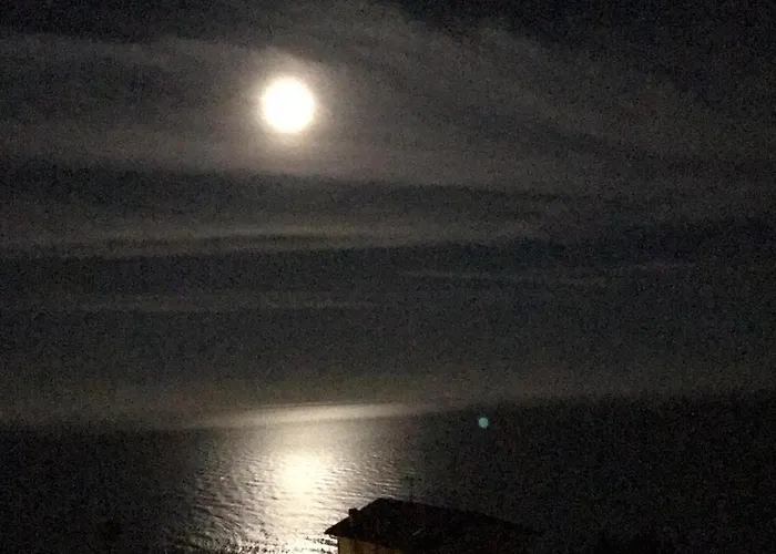 度假居 Il Mare Tra Gli Olivi 文蒂米利亚