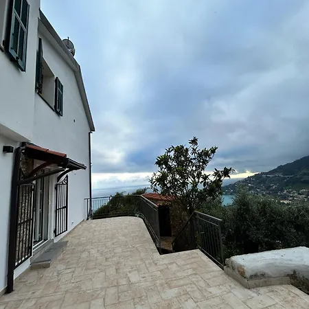 Il Mare Tra Gli Olivi *