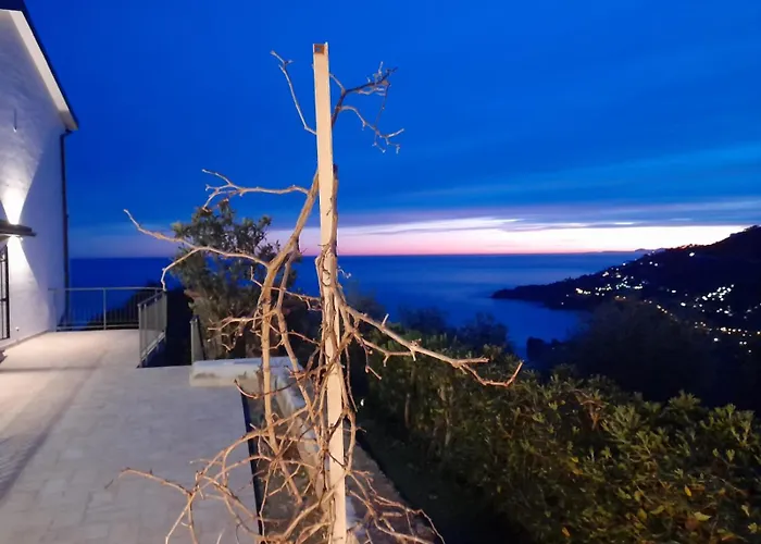 Il Mare Tra Gli Olivi