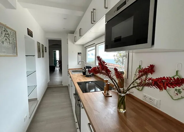 Il Mare Tra Gli Olivi Ventimiglia