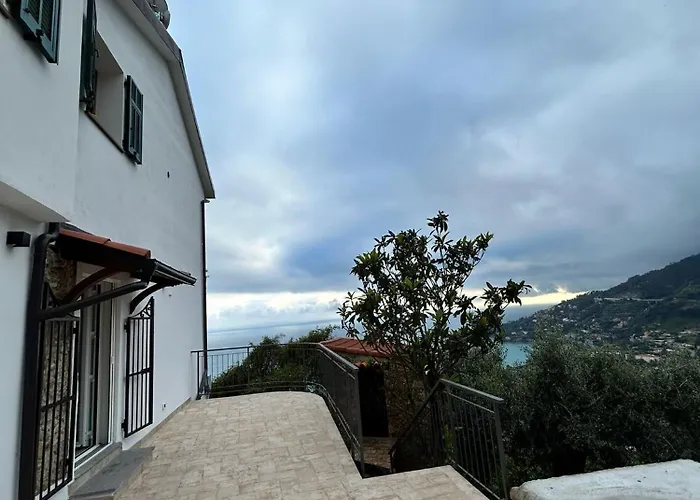 Il Mare Tra Gli Olivi *