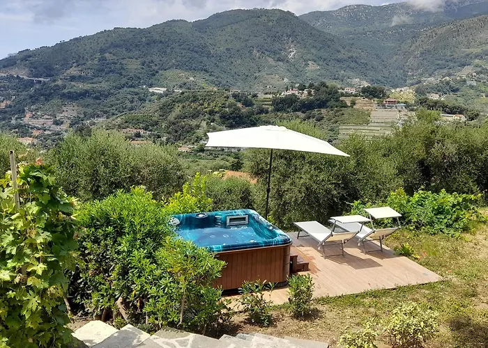 Il Mare Tra Gli Olivi *